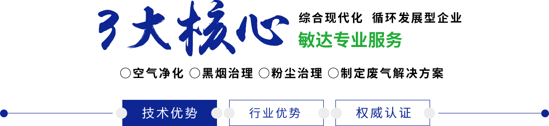 外国大大黑鸡巴操逼视频看看敏达环保科技（嘉兴）有限公司